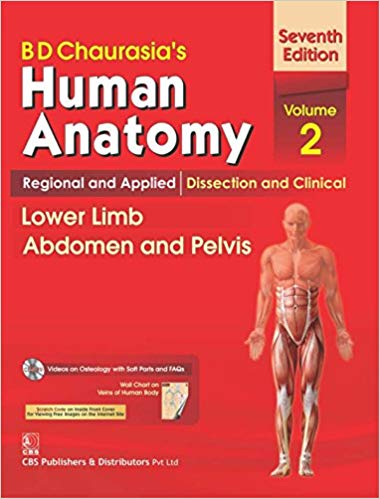 Bdc-part-2-pdf-lower-limb-abdomen-pelvis