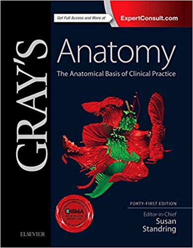 grays-anatomy-41st-edition-book