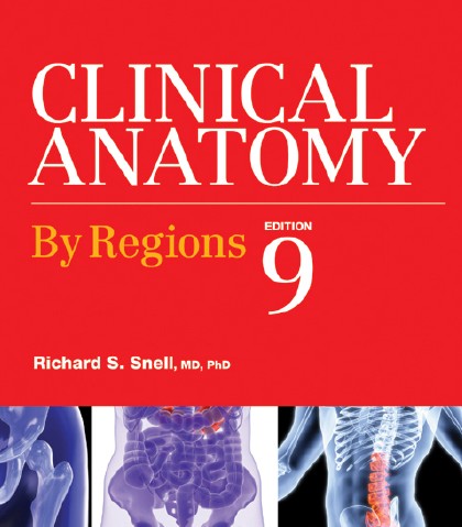 snell-anatomy-pdf